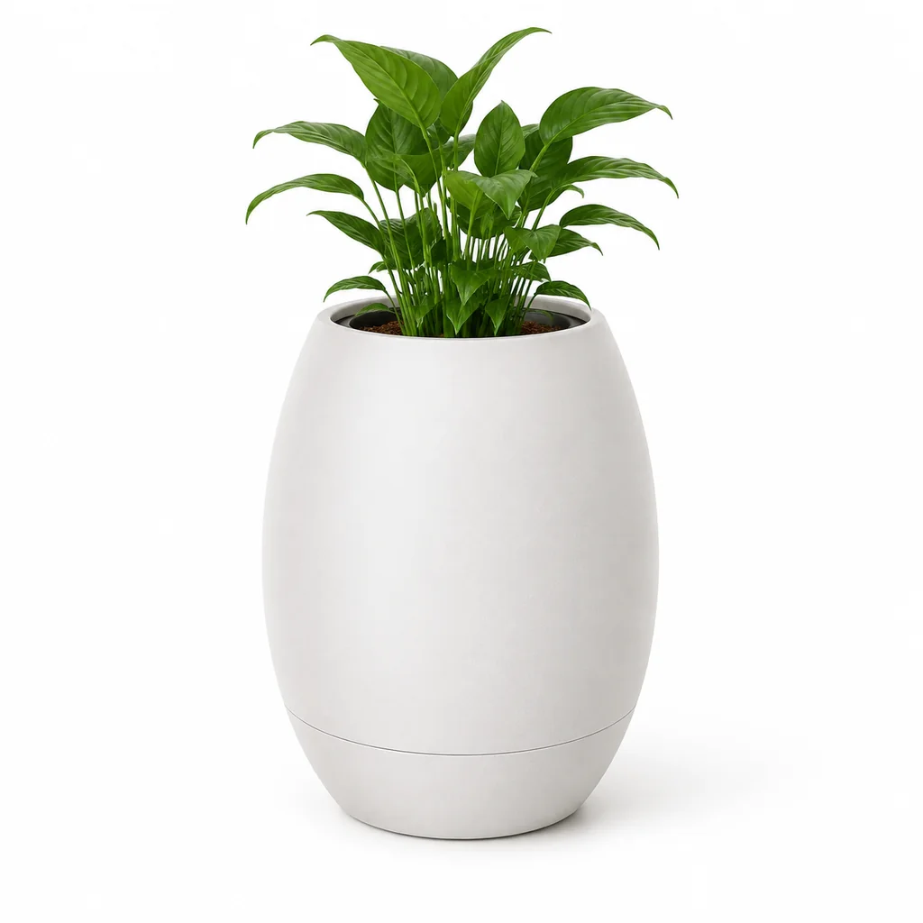 Chậu cây tự dưỡng composite hình trứng cao 60cm đặt trên sàn cạnh quầy lễ tân có ánh sáng tự nhiên