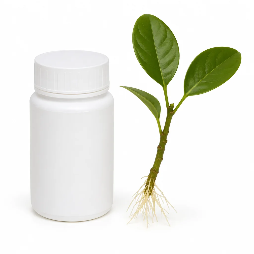 Thuốc kích thích ra rễ N3M chai 100g tại kho